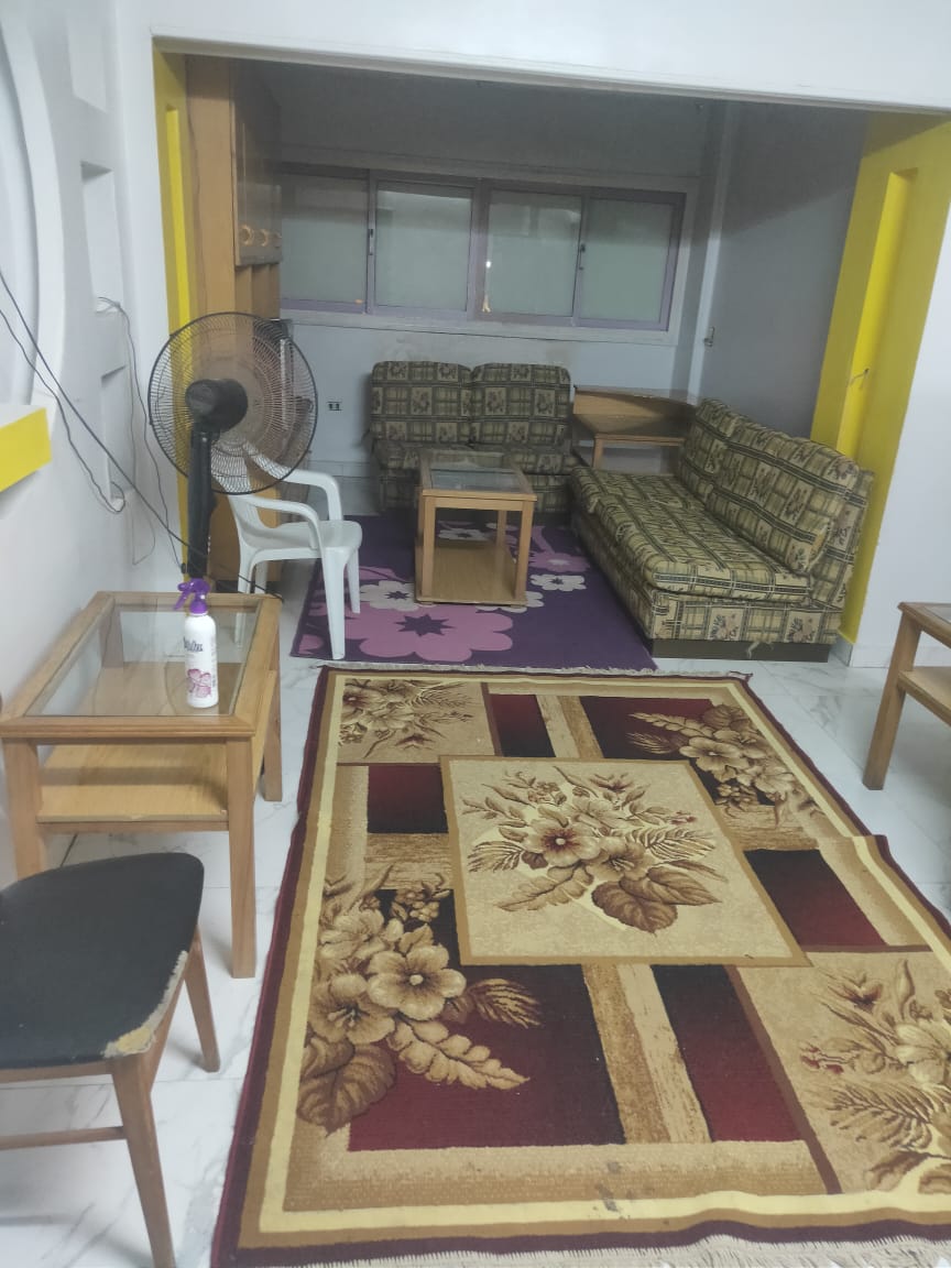 شقة كاملة لفردين فقط ب 7000ج